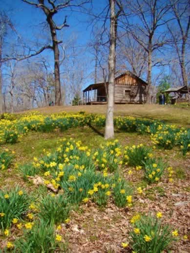 Cabin at Lake Josephine near Gladewater Texas