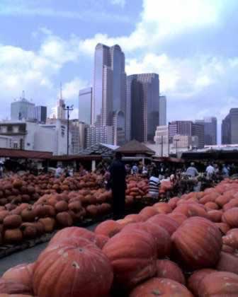 Farmer's Market Near Downtown Dallas Texas Farmer's Market Near Downtown Dallas Texas
