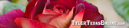 Tyler Texas Roses
