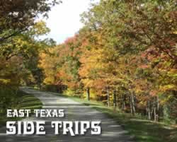 Side trips ... from Tyler Texas
