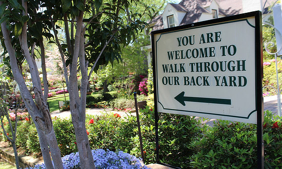 You are welcome to walk through our back yard ... on the Tyler Azalea Trails in the spring