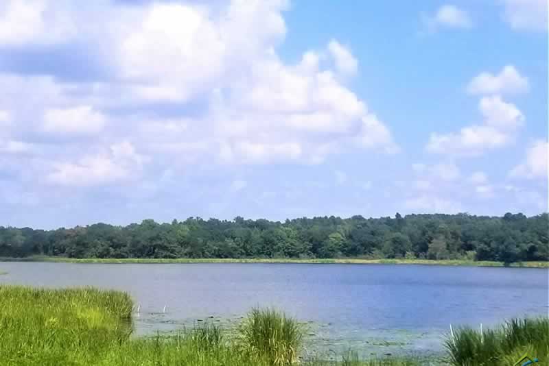 Bellwood Lake in Tyler Texas