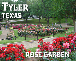 Tyler Texas Rose Garden ... the nation's largest municipal rose garden