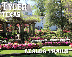 The 2022 Azalea Trails are scheduled for March 25 - April 10, 2022.