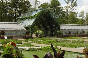 Shangri La Botanical Gardens in Orange, Texas