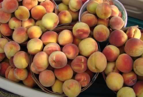 Perfect East Texas hand-picked peaches, fresh off the tree