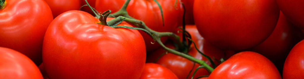 Organic, vine-ripened East Texas tomatoes at a local farmers market