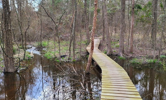 Boardwalk and trails at Lindsey Park in Tyler, Texas