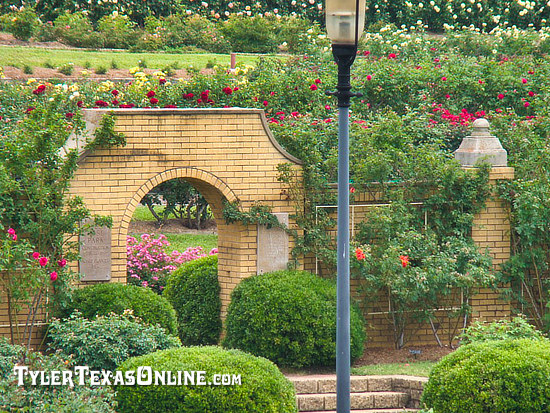 Arch way in the Tyler, Texas Rose Garden