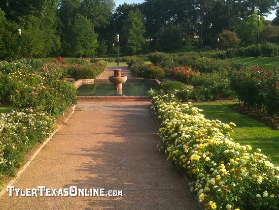Walkway at the Tyler Texas Rose Center