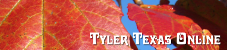 Fall Foliage Tours and Road Trips Around Tyler