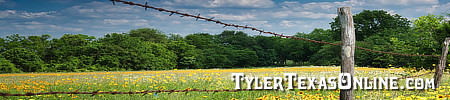 Tyler Texas links and resources