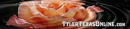 Things to Do in Tyler: A Tourism Guide