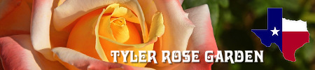 Tyler Texas Municipal Rose Garden