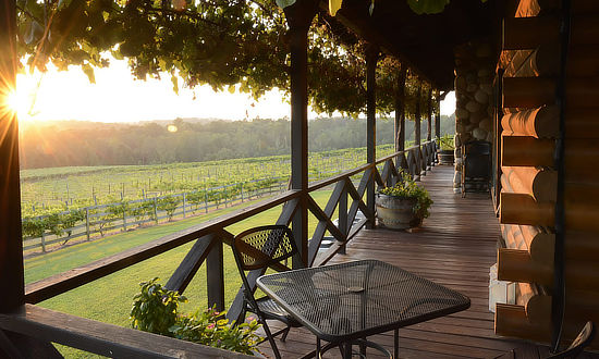 Enoch's Stomp Vineyard and Winery in Harleton, Texas