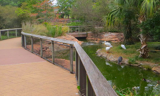 One of the many walkways & bridges at the zoo in Tyler Texas