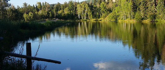Quiet scene at a lake near Tyler Texas