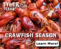 Crawfish season in Texas ... click to learn more!