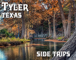 Side trips ... from Tyler Texas