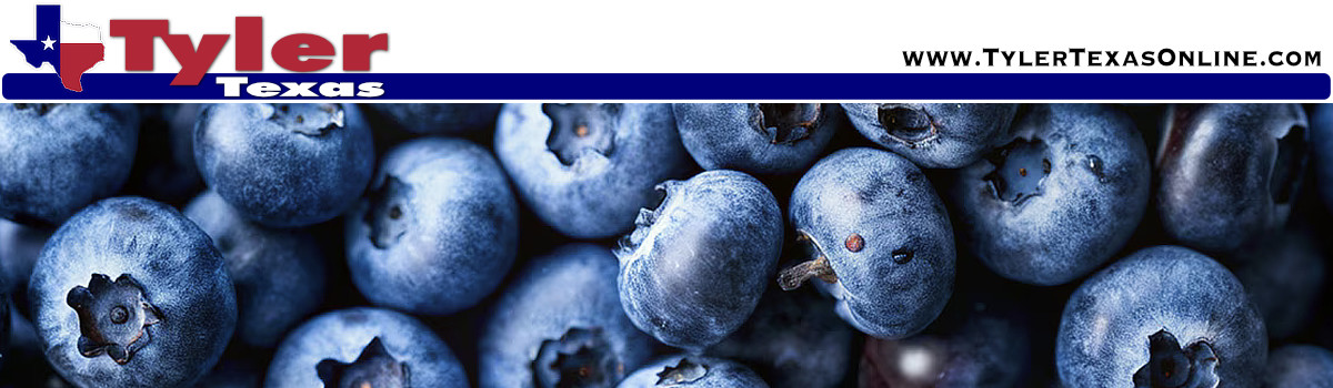 Pick Your Own blueberries and other Fruit and Vegetables in East Texas
