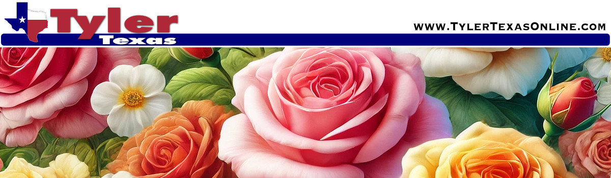 Video about the roses in Tyler Texas