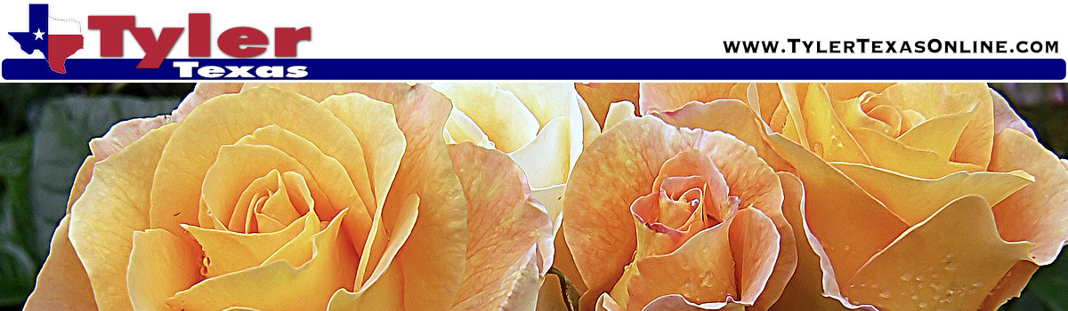 Rose industry in Tyler Texas